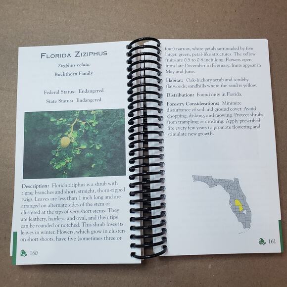 Rare, Threatened And Endangered Species In Forests Of Florida. Guide To Assist - Picture 8 of 12